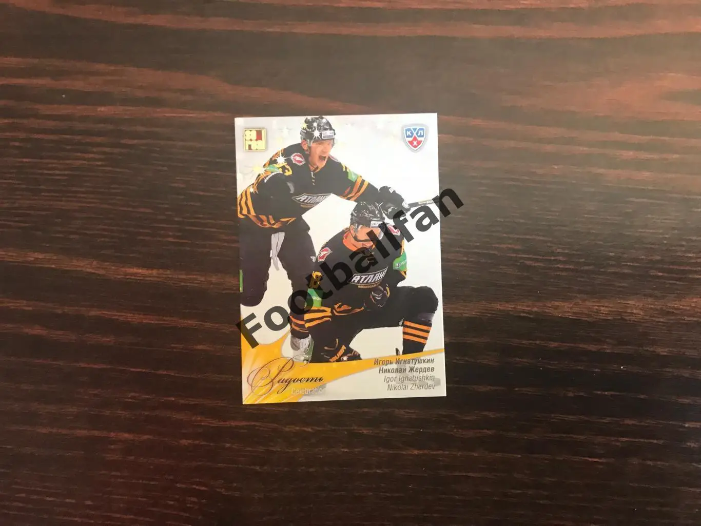 Игорь Игнатушкин и Николай Жердев ( Атлант Московская область )