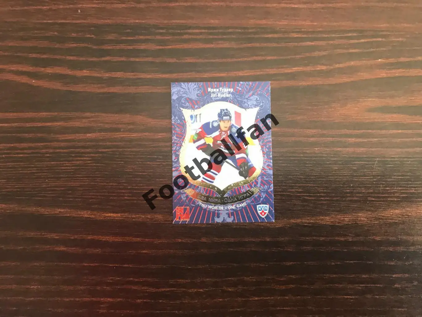 Иржи Гудлер ( Чехия )