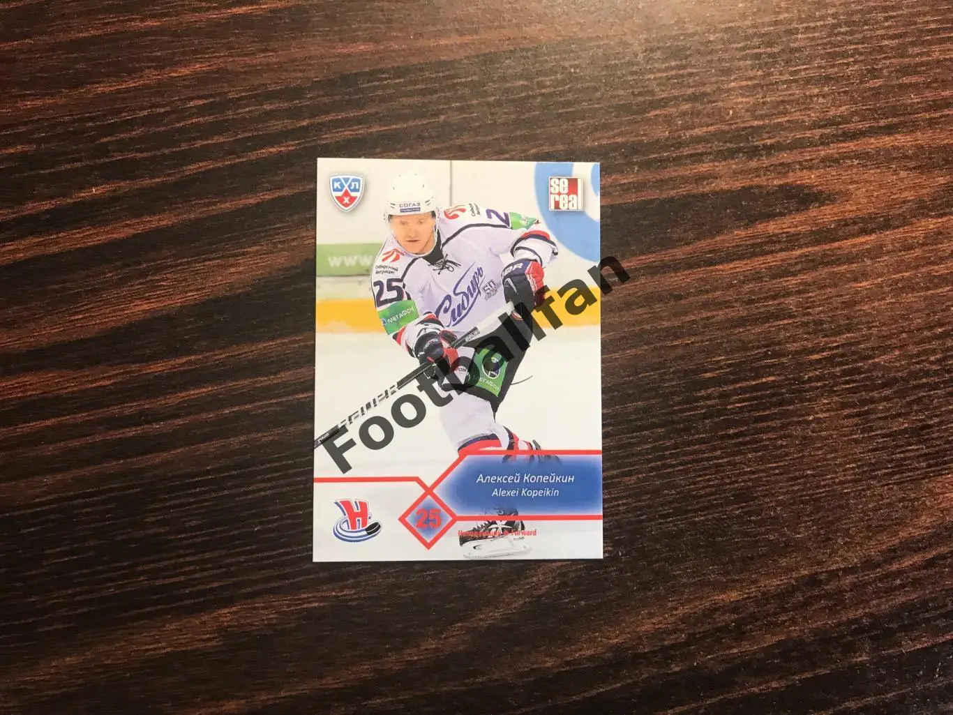 Алексей Копейкин ( Сибирь Новосибирск )