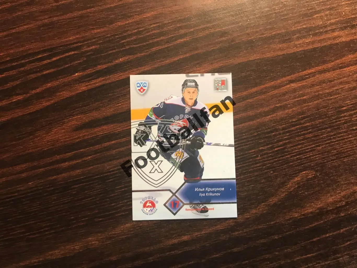 Илья Крикунов ( Торпедо Нижний Новгород )