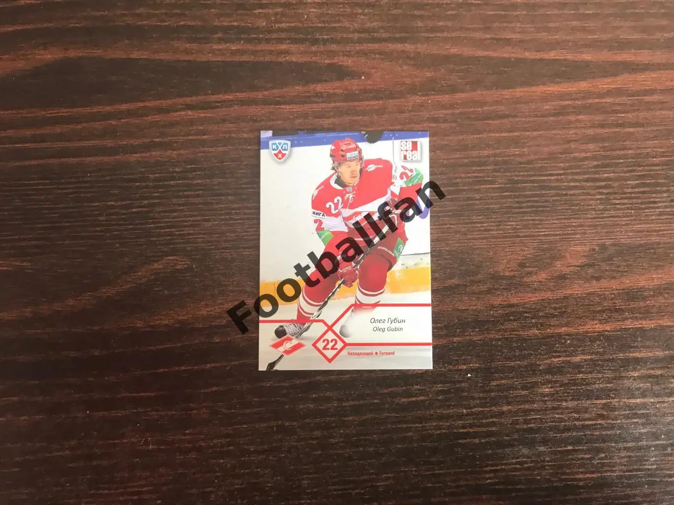 Алексей Губин ( Спартак Москва )