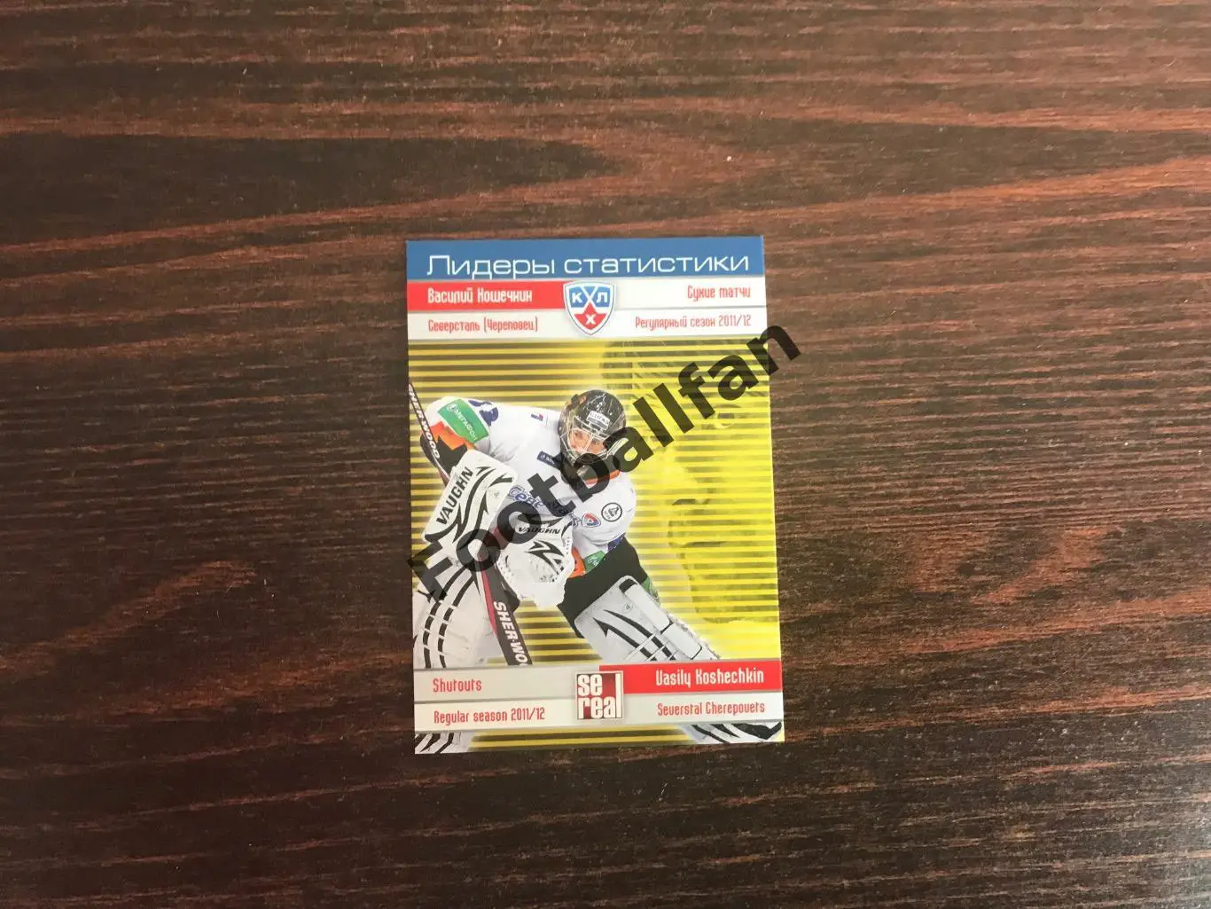 Василий Кошечкин ( Северсталь Череповец )