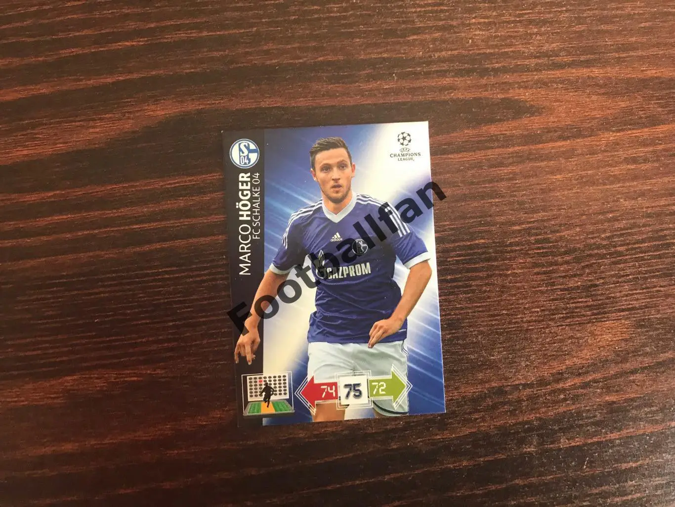 Лига Чемпионов . Сезон 2012-2013 . Марко Хогер ( Шальке - 04 Гельзенкирхен )