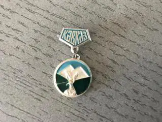 Город Тбилиси . Кавказ