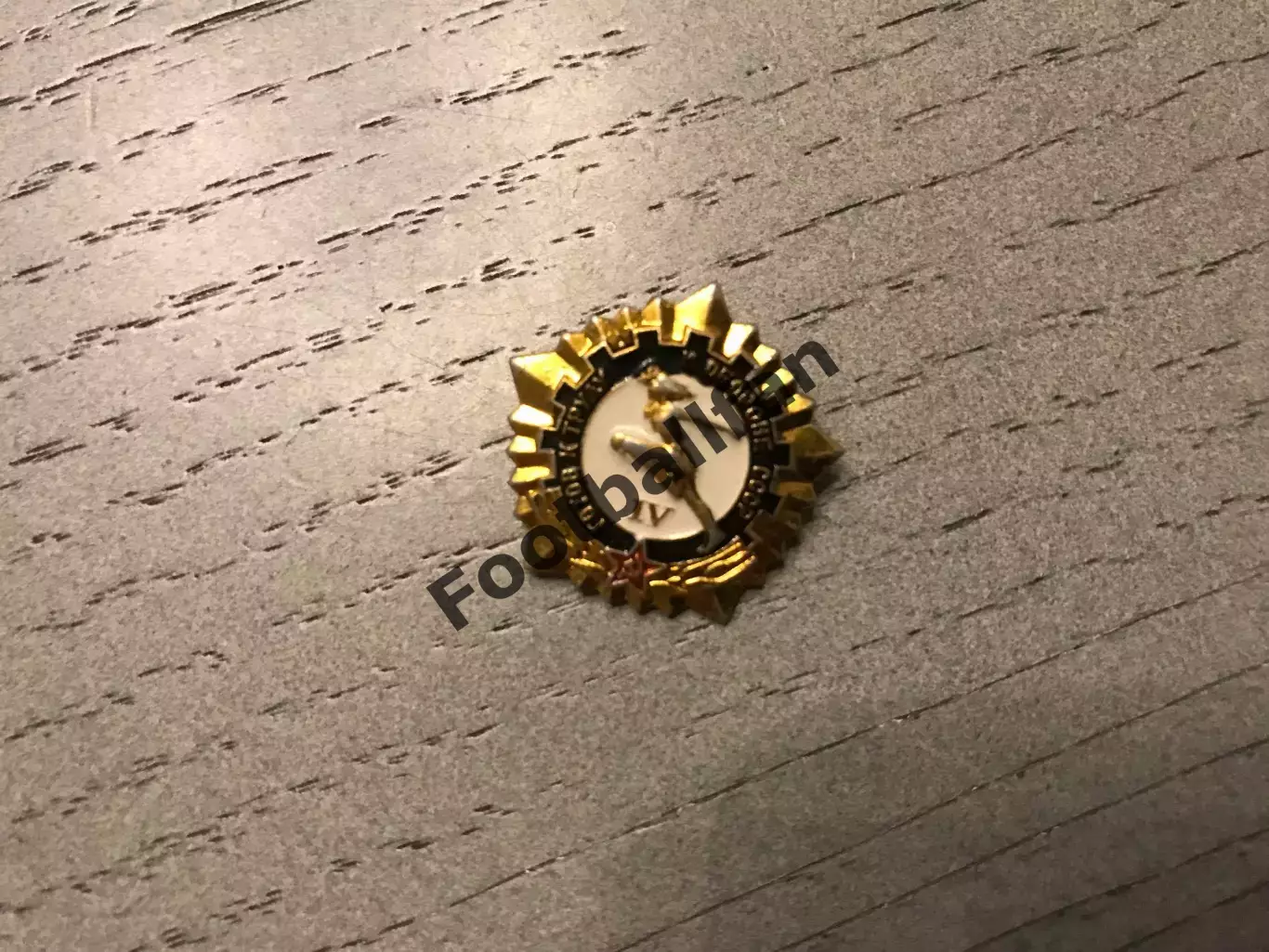 Готов к труду и обороне ! IV ступень (2)