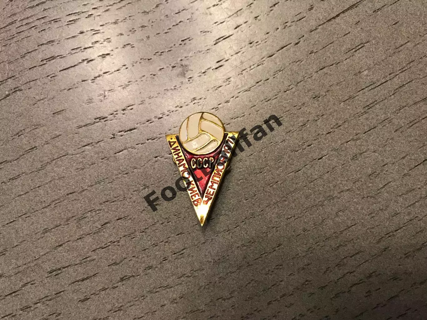 Динамо Киев - чемпион СССР 1971 год (5)