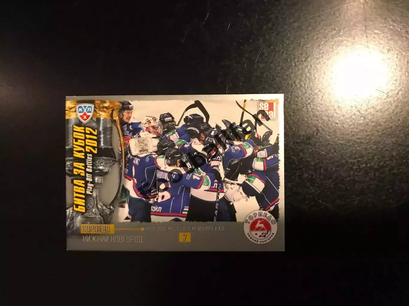 Битва за кубок . 2012 . Торпедо Нижний Новгород . 7-е место в чемпионате КХЛ .