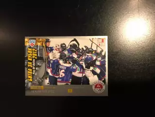 Битва за кубок . 2012 . Торпедо Нижний Новгород . 7-е место в чемпионате КХЛ .