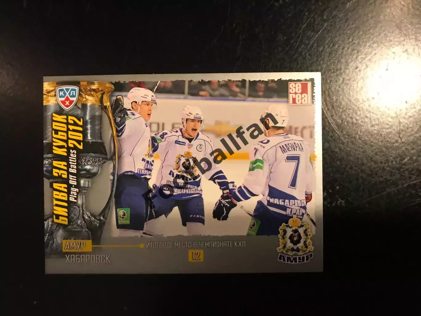 Битва за кубок . 2012 . Амур Хабаровск . 12 - е место в чемпионате КХЛ .