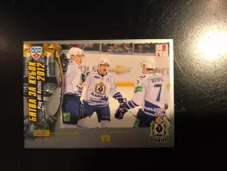 Битва за кубок . 2012 . Амур Хабаровск . 12 - е место в чемпионате КХЛ .