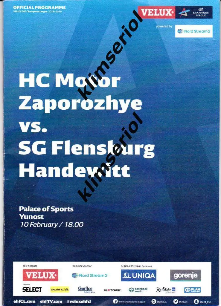 Мотор(Запорожье,Украина)- Фленсбург (Германия) 10.02.2019 ЛЧ муж