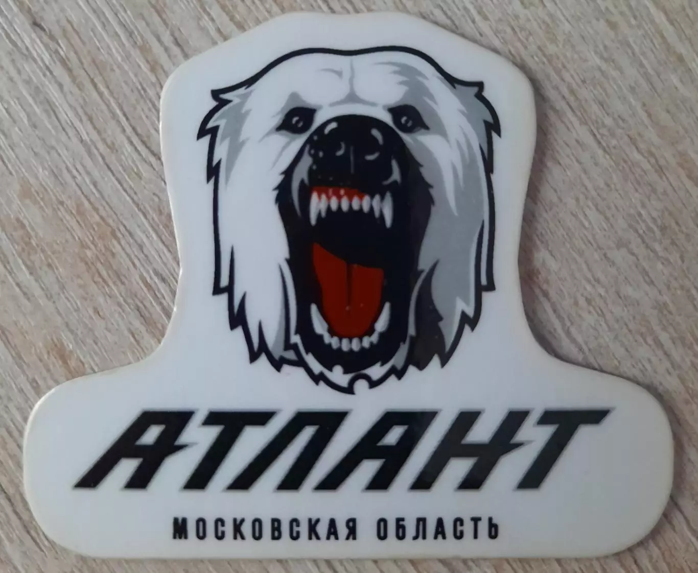 Магнит. Х.К. Атлант Мытищи