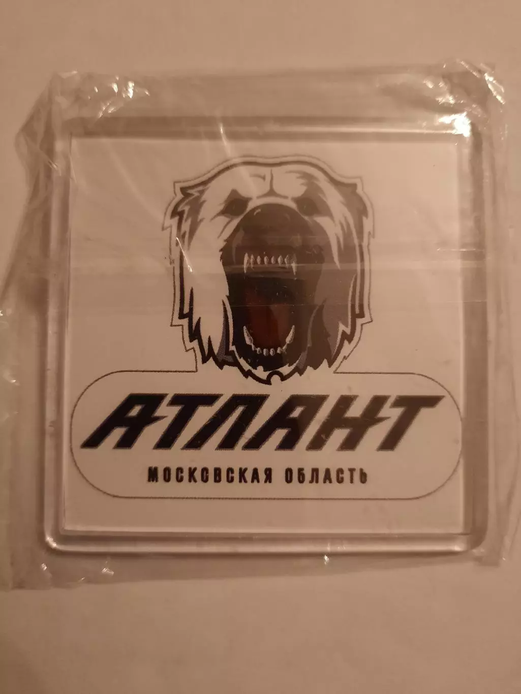 Магнит. Атлант Мытищи.