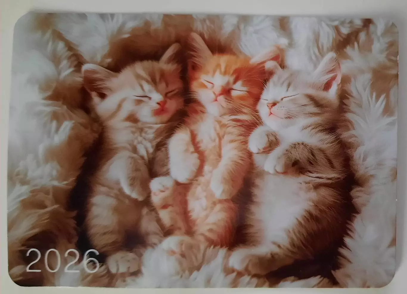 Календарик карманный. Котята. 2026г .