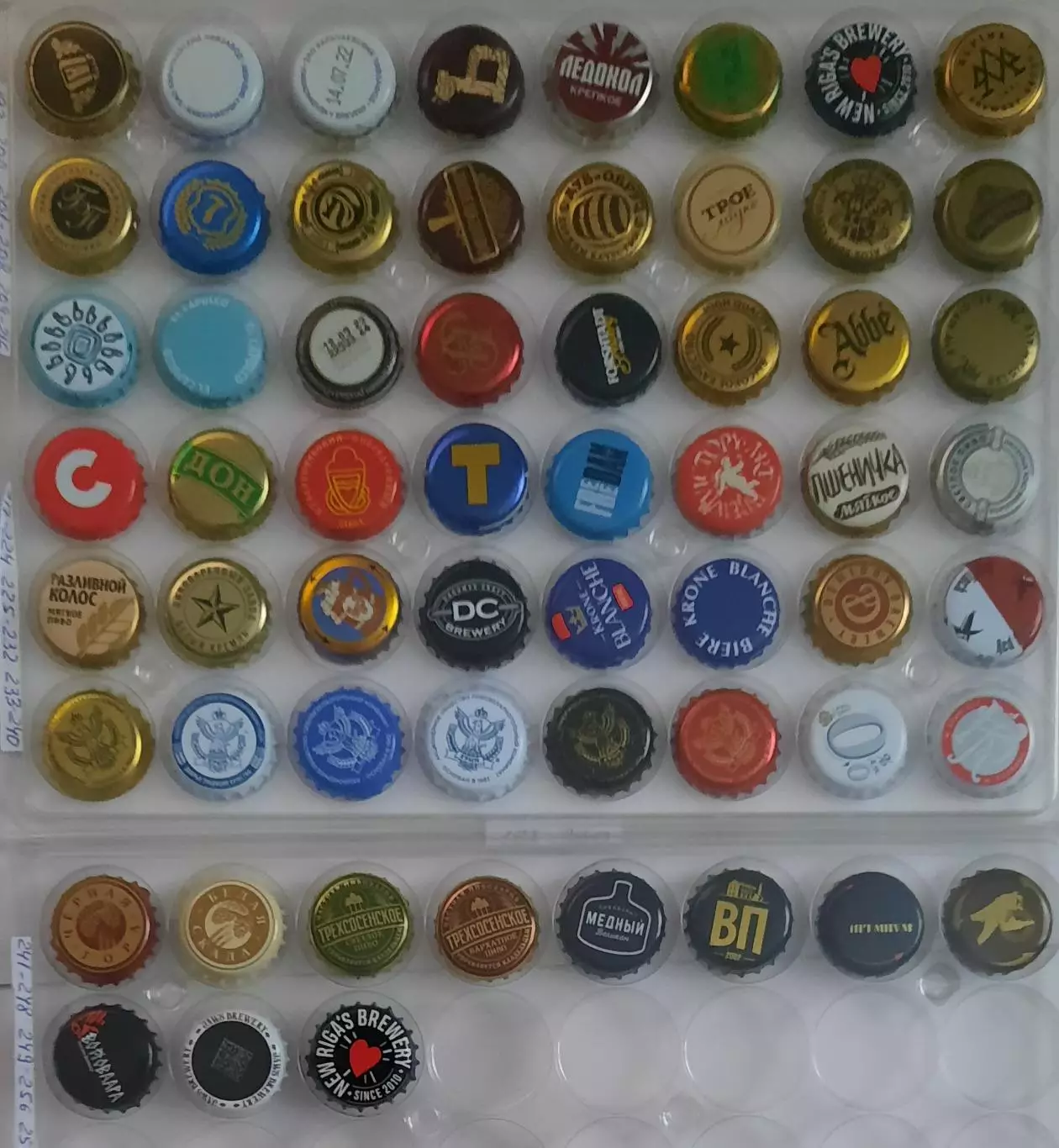 508 пивных пробок. 2