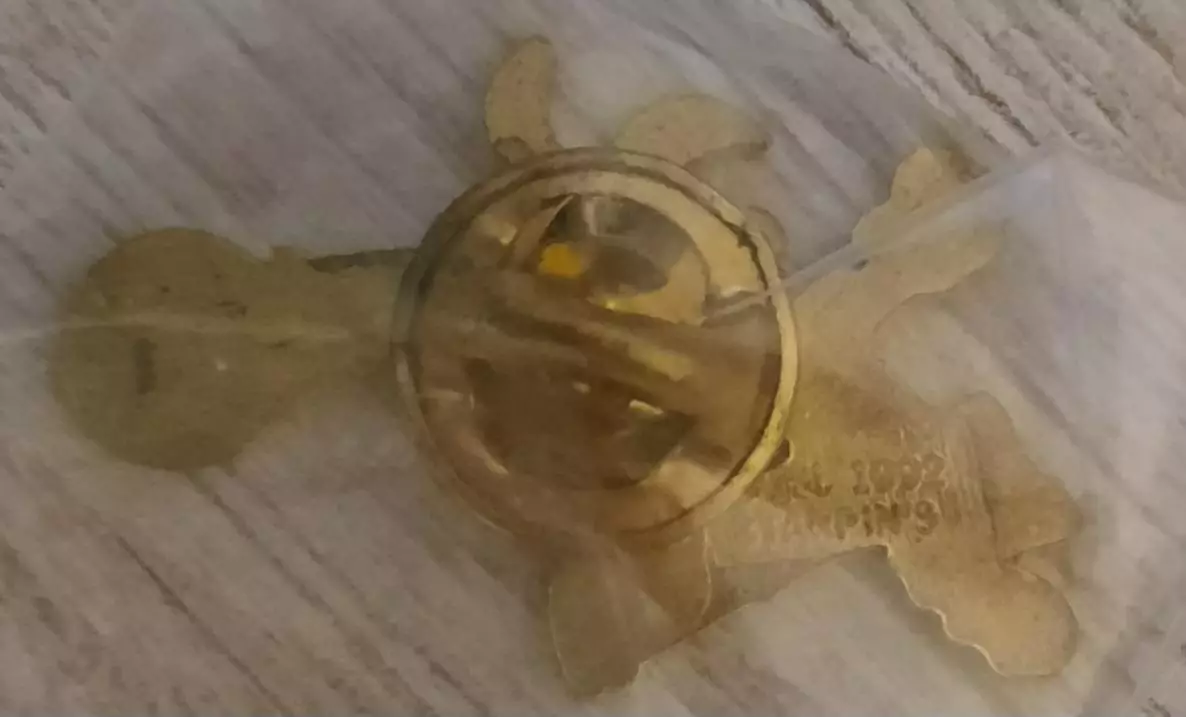 Значок талисман Чемпионата Мира по футболу 1994 год (официальный). Вид 4 1