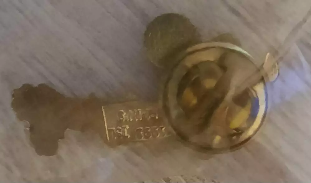 Значок талисман Чемпионата Мира по футболу 1994 год (официальный). Вид 5 1