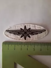 Шеврон Московский метрополитен (вид 10)