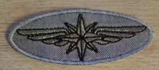 Шеврон Московский метрополитен (вид 12)