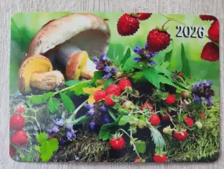 Календарик карманный на 2026г. Грибы и ягоды.