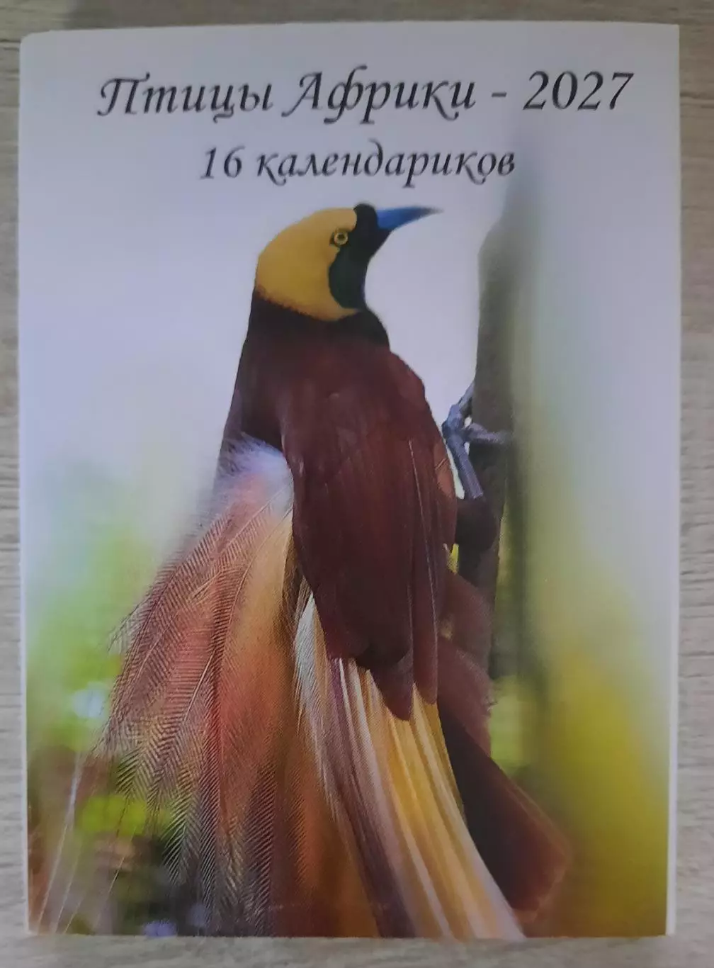 Календарик карманный. Набор из 16 календариков ПТИЦЫ АФРИКИ на 2027г.