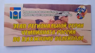 Билет на пляжный волейбол.