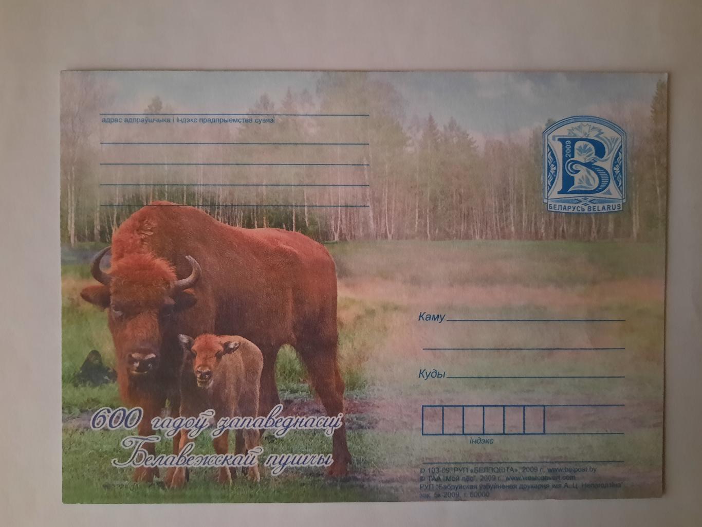 Почтовая карточка Беловежская пуща (Беларусь)