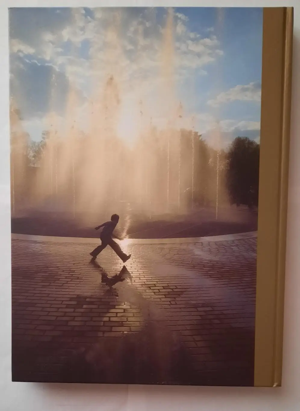 Книга - фотоальбом «Мытищи. Город и люди» 1