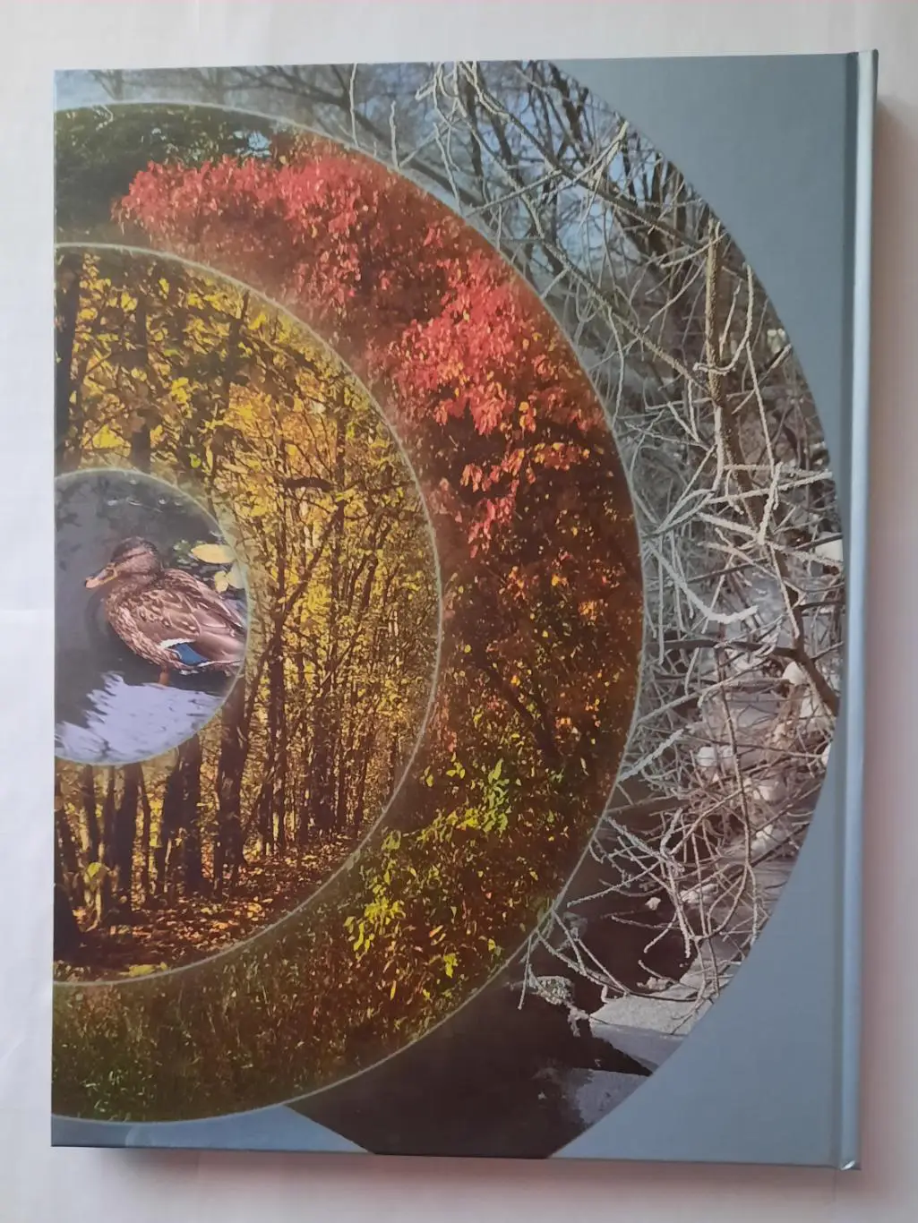 Книга - фотоальбом «По берегам Мытищинских рек» 1