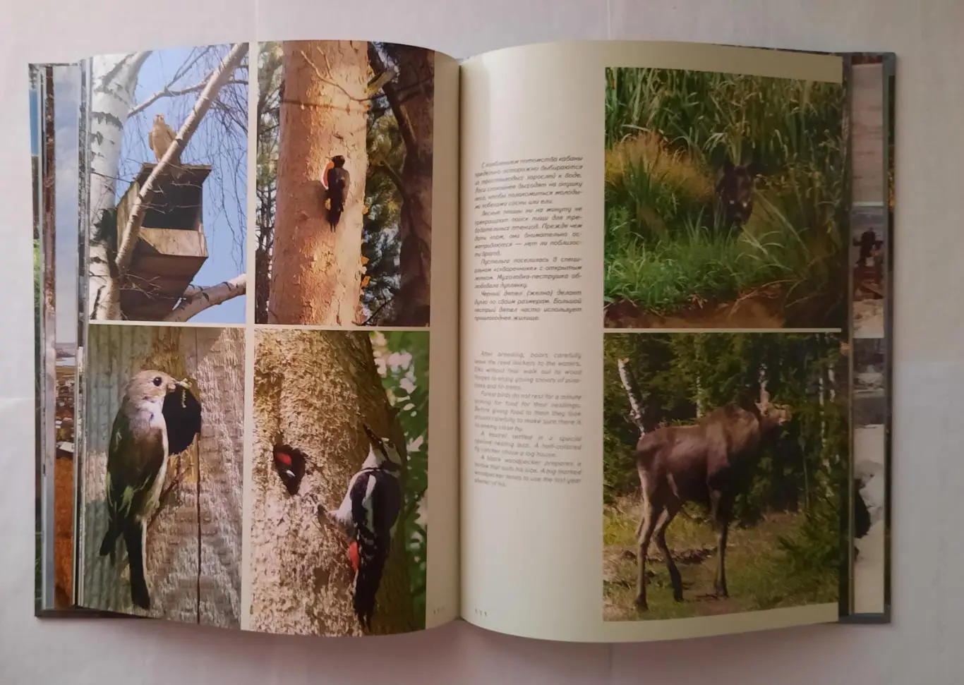 Книга - фотоальбом «По берегам Мытищинских рек» 3