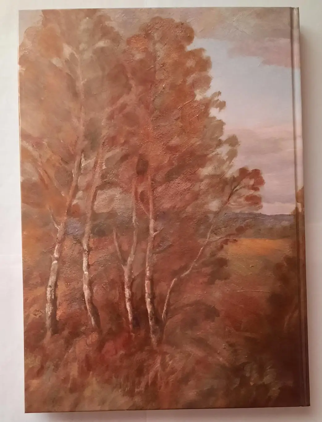 Книга «Мытищи странички истории» 1