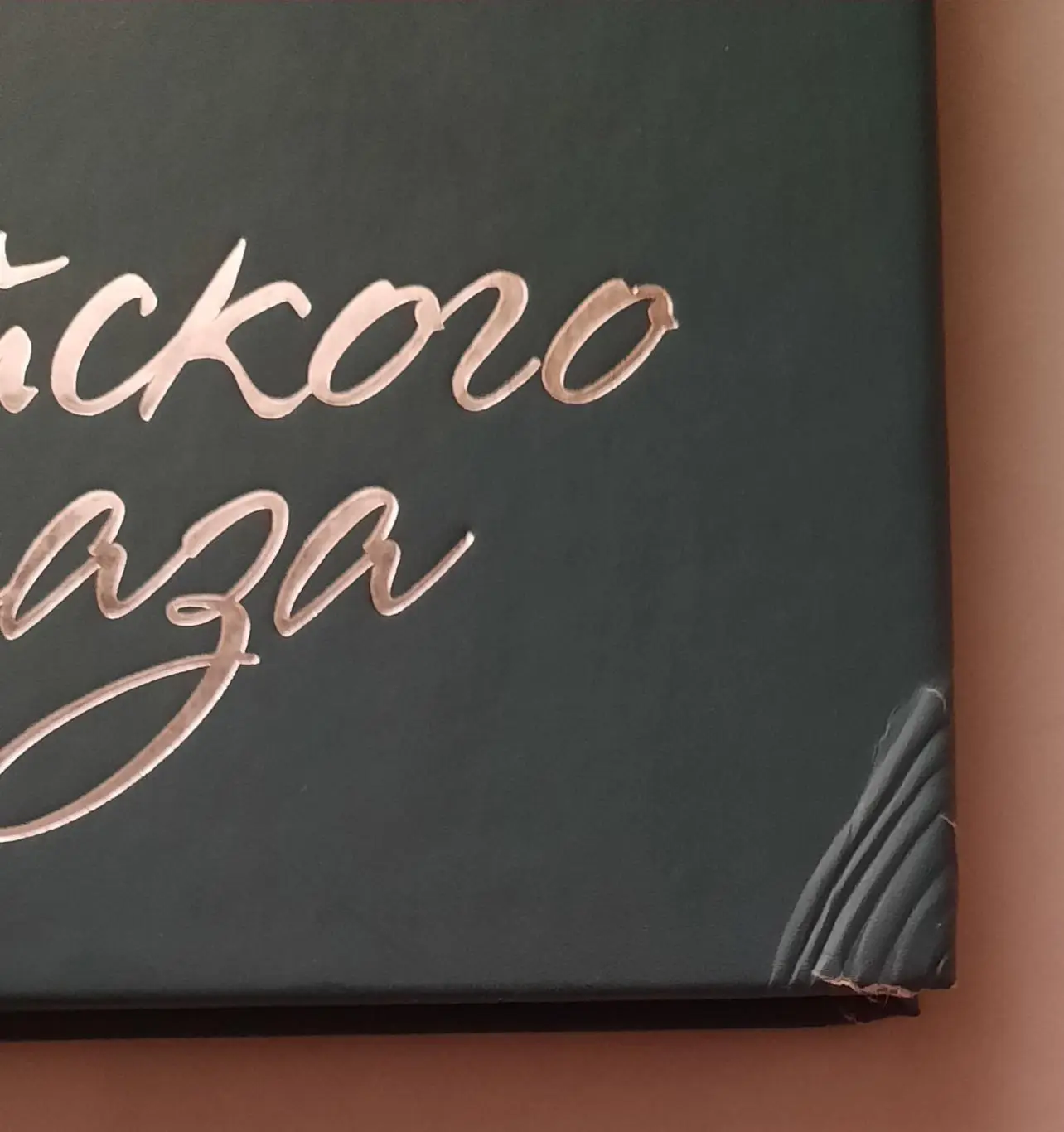 Книга «Мытищи. Родина Российского спецназа» 1