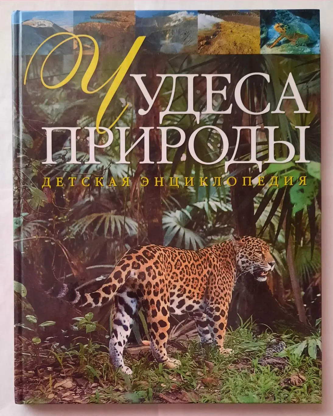 Детская энциклопедия. Чудеса природы.