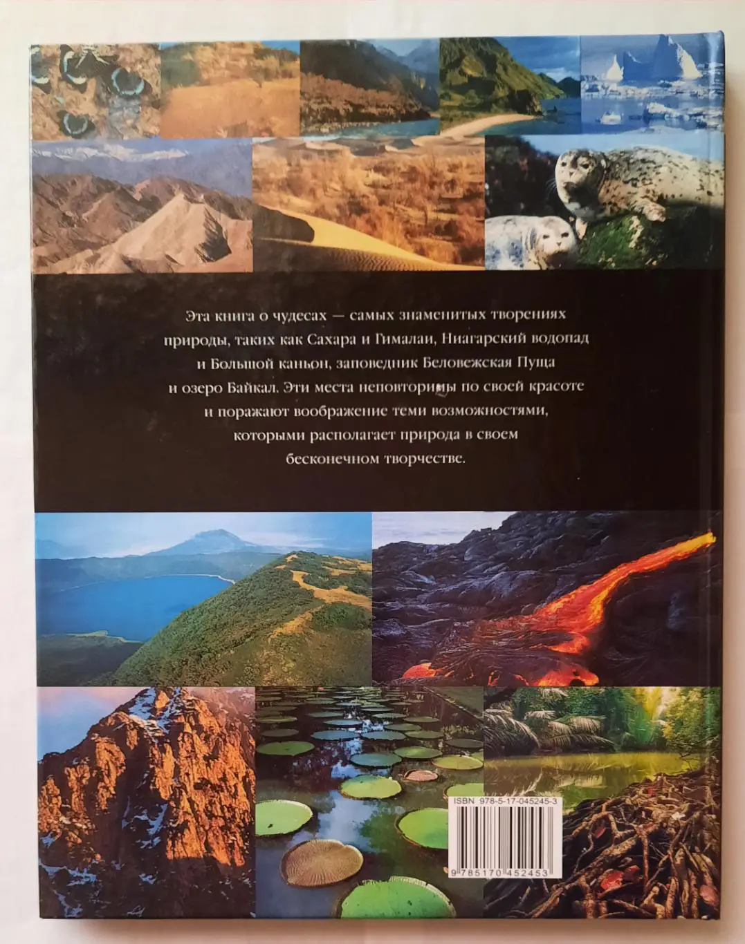 Детская энциклопедия. Чудеса природы. 1