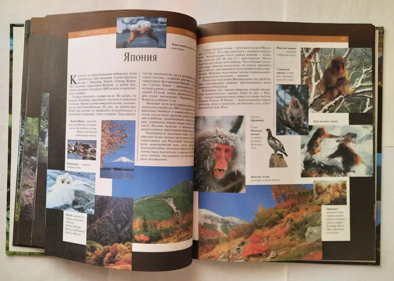 Детская энциклопедия. Чудеса природы. 3