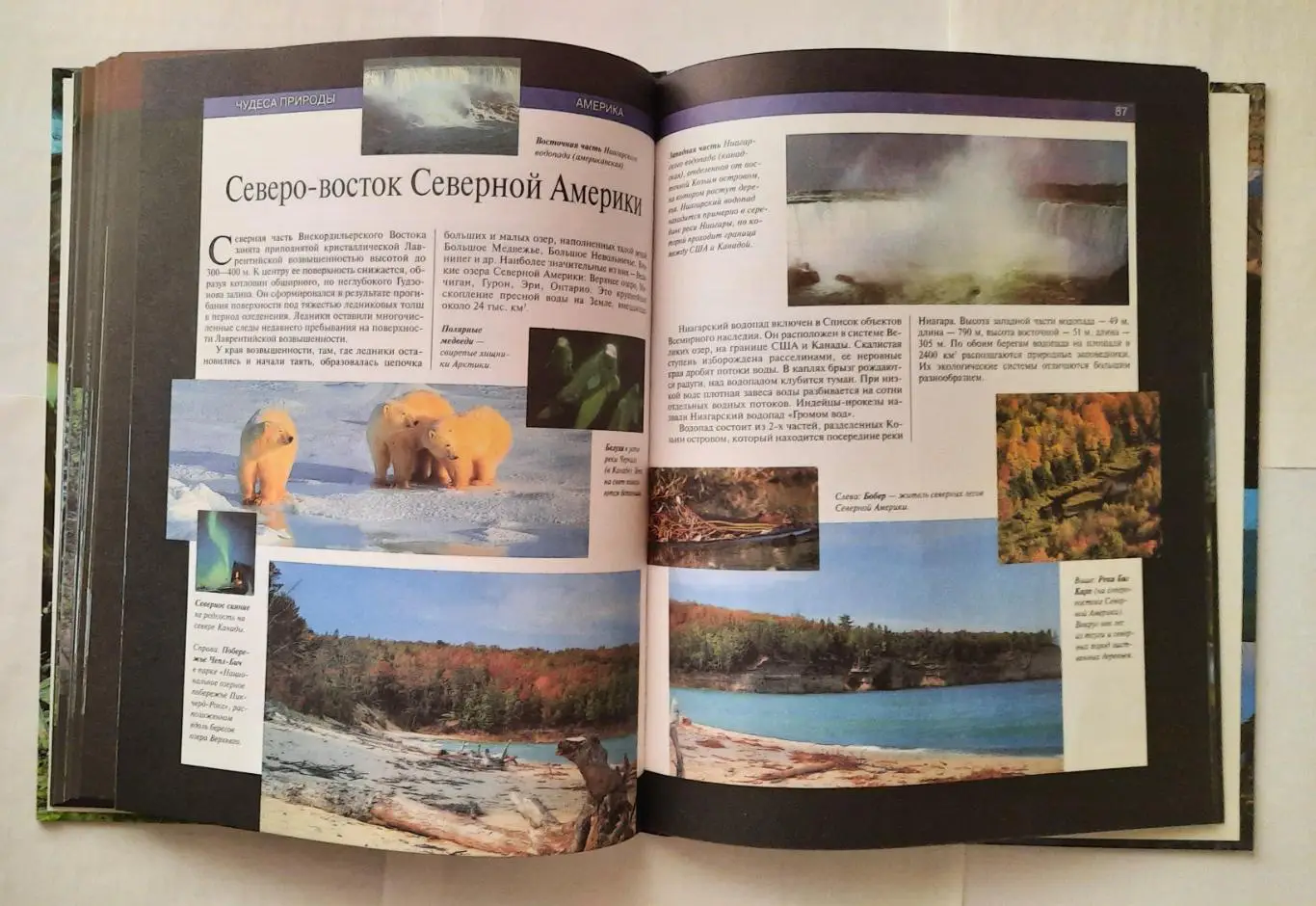 Детская энциклопедия. Чудеса природы. 4