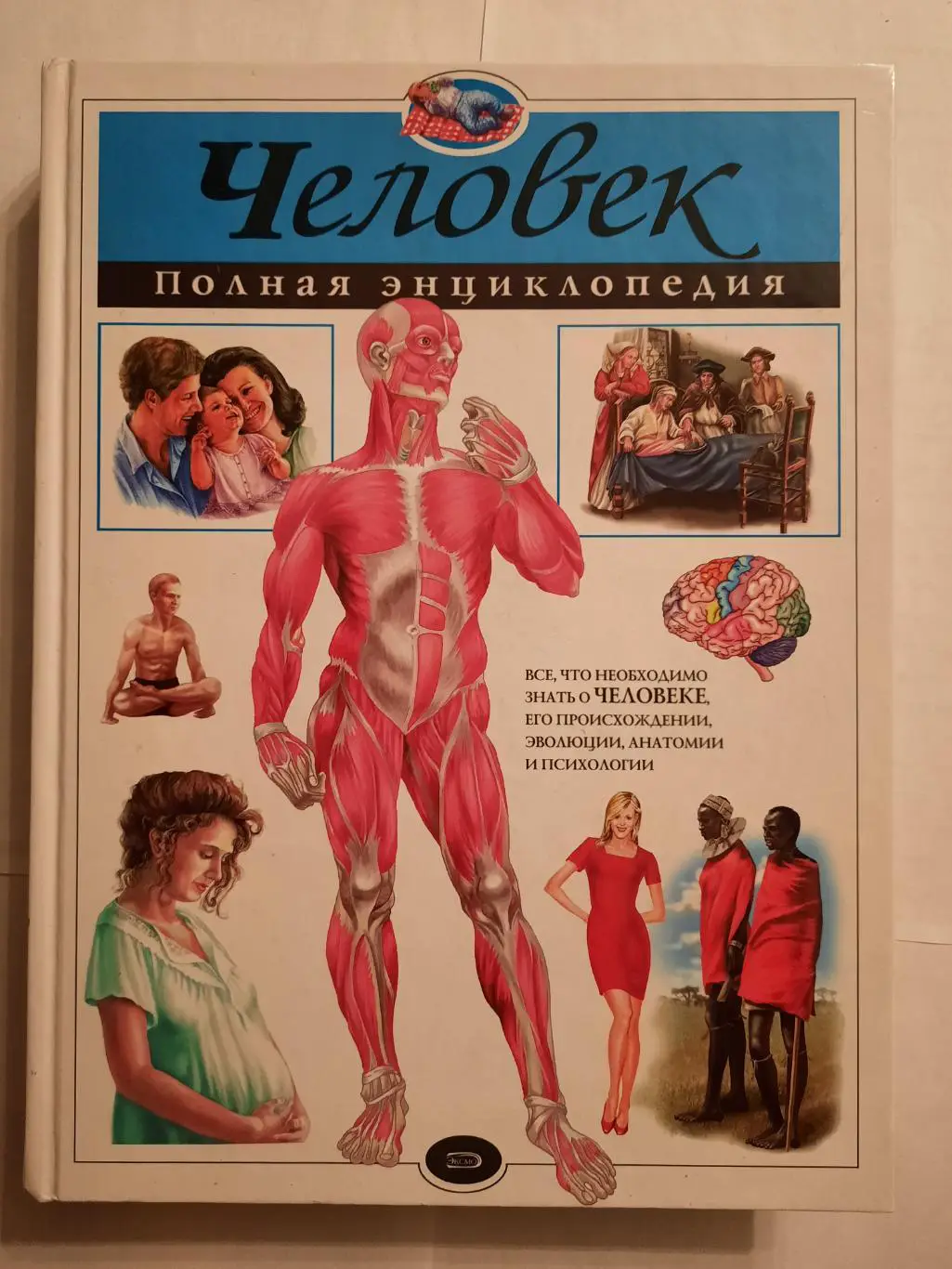 Энциклопедия Человек. Полная энциклопедия.
