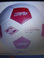 Официальная продукция ФК Спартак Москва Футбольный мяч профессиональный