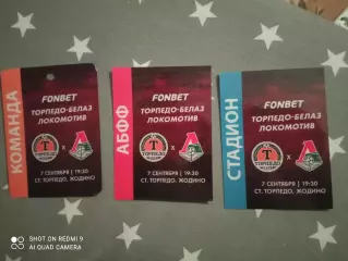 Аккредитация: ТМ 08.09.2024 Торпедо Белаз(Белоруссия)-Локомотив Москва(Россия)