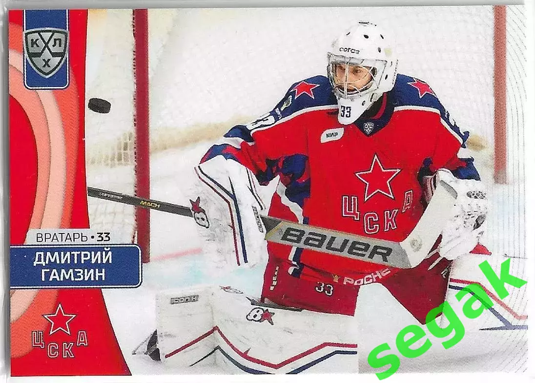 Карточка SeReal КХЛ 2023-2024 Дмитрий Гамзин ЦСКА Москва