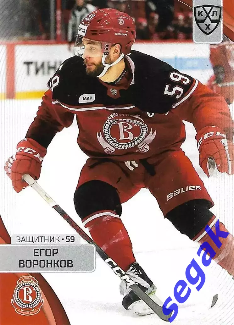 Карточка SeReal КХЛ 2023-2024 Егор Воронков Витязь Московская область