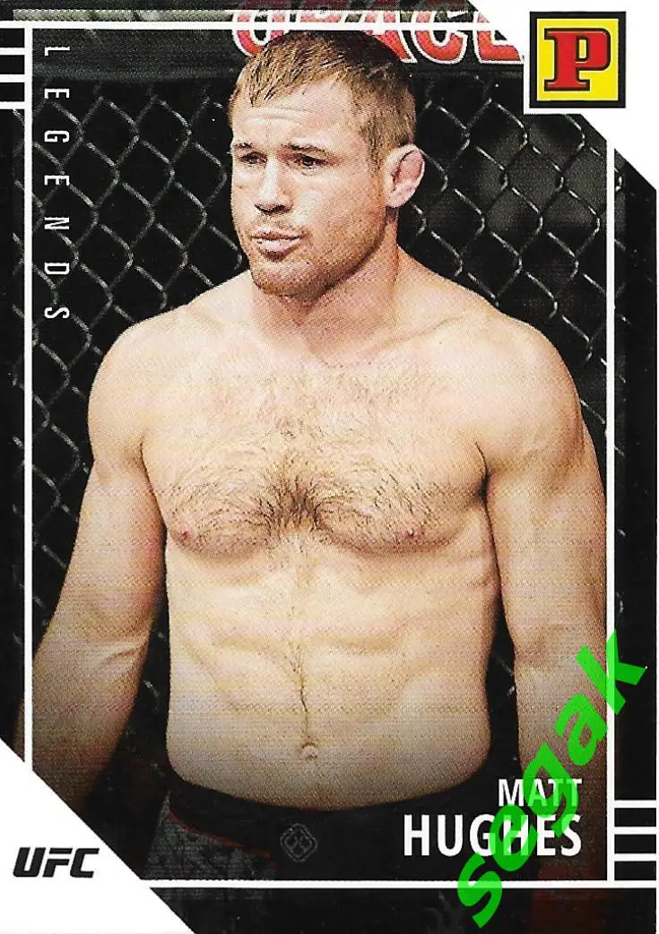 Карточка PANINI UFC Debut edition 2022 Matt Hughes/Мэтт Хьюз