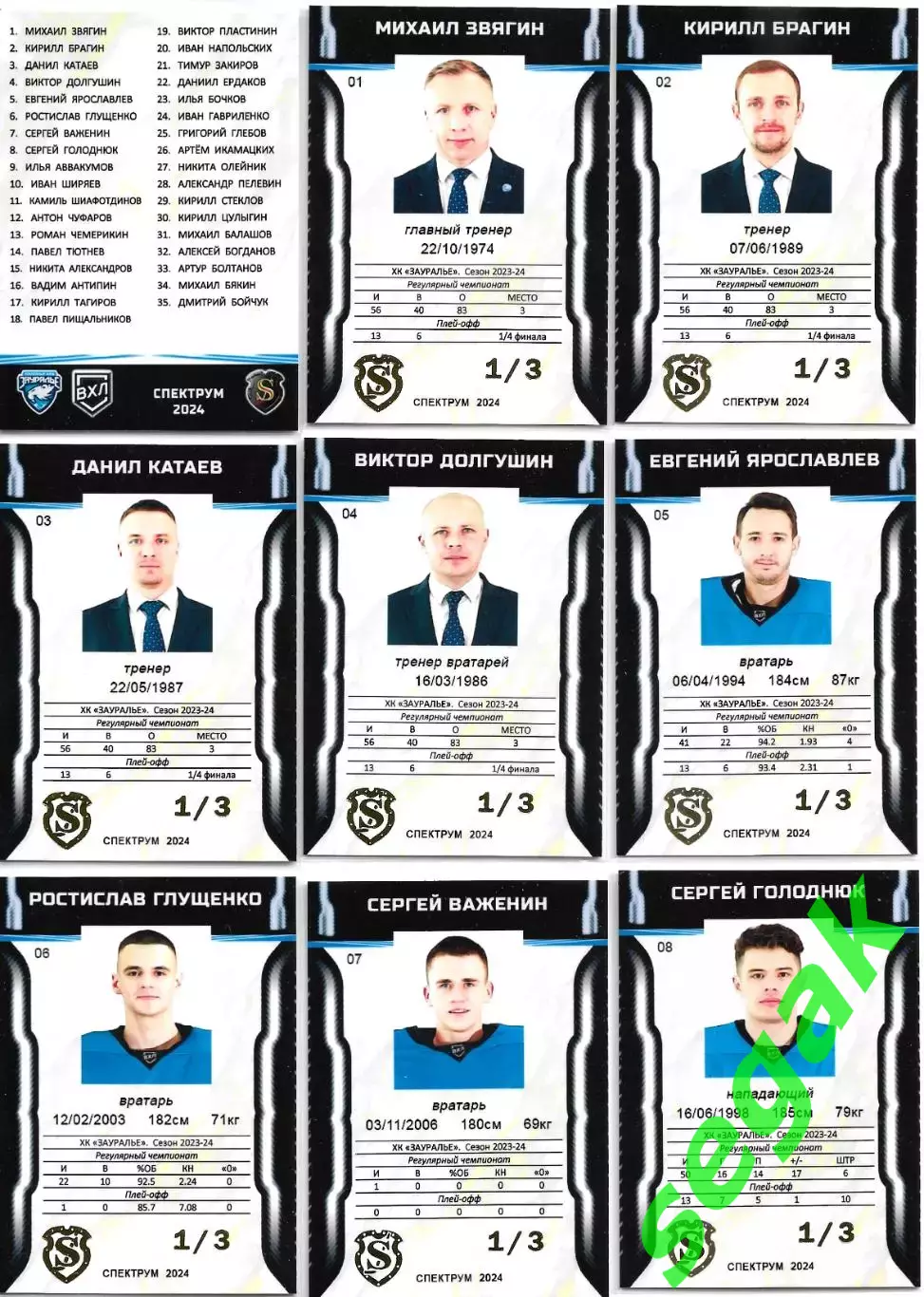 ВХЛ. Карточки ХК Зауралье Курган сезон 2023-24 3