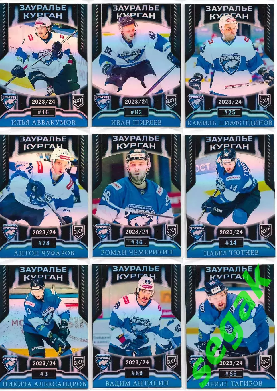 ВХЛ. Карточки ХК Зауралье Курган сезон 2023-24 4