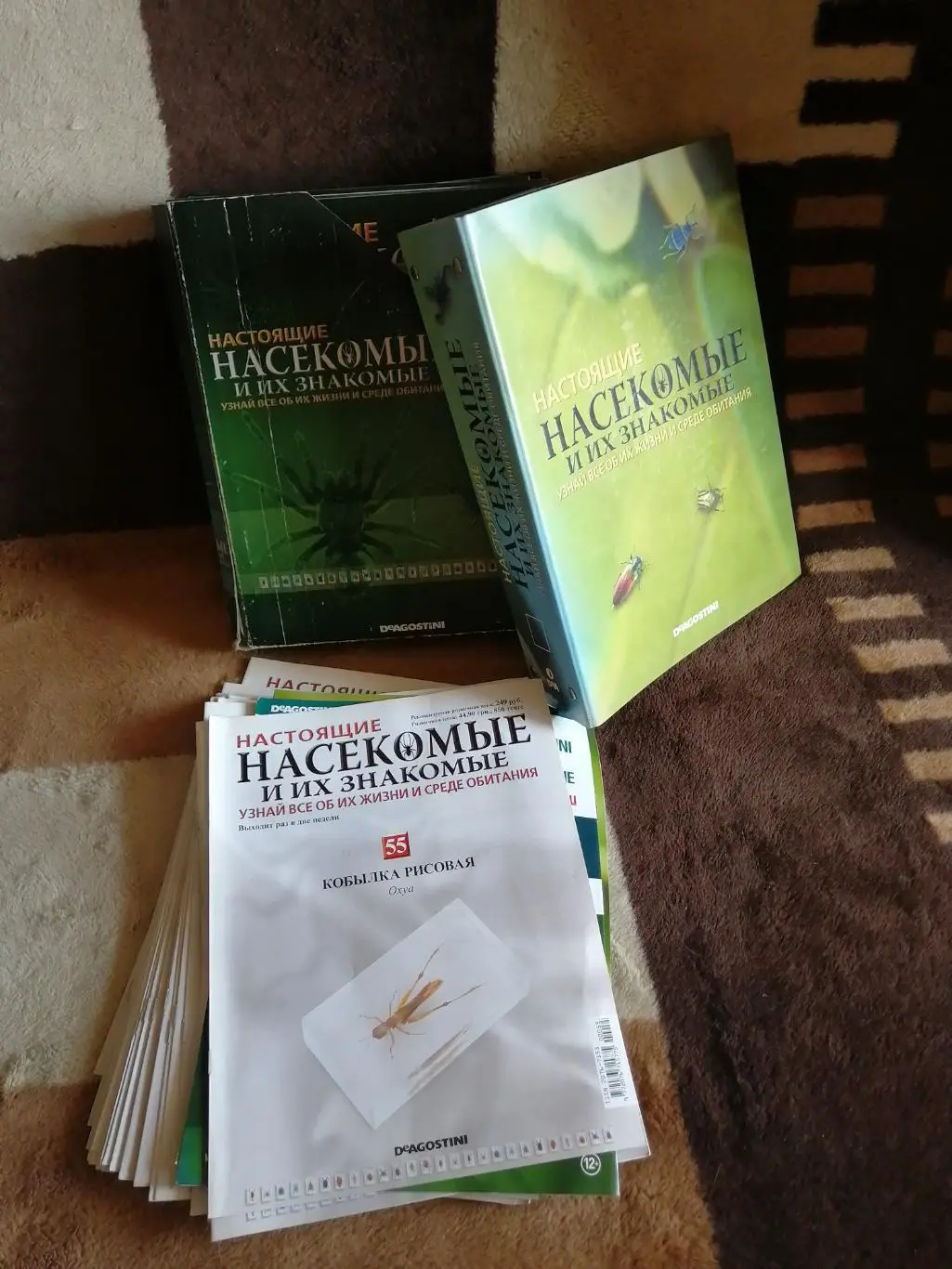 Насекомое из коллекции Насекомые и их знакомые 7