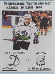 Динамо Харьков-Белый Барс Белая Церковь.29.11.2017.Чемпионат Украины.