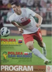 Польша-Украина.22.03.2013.