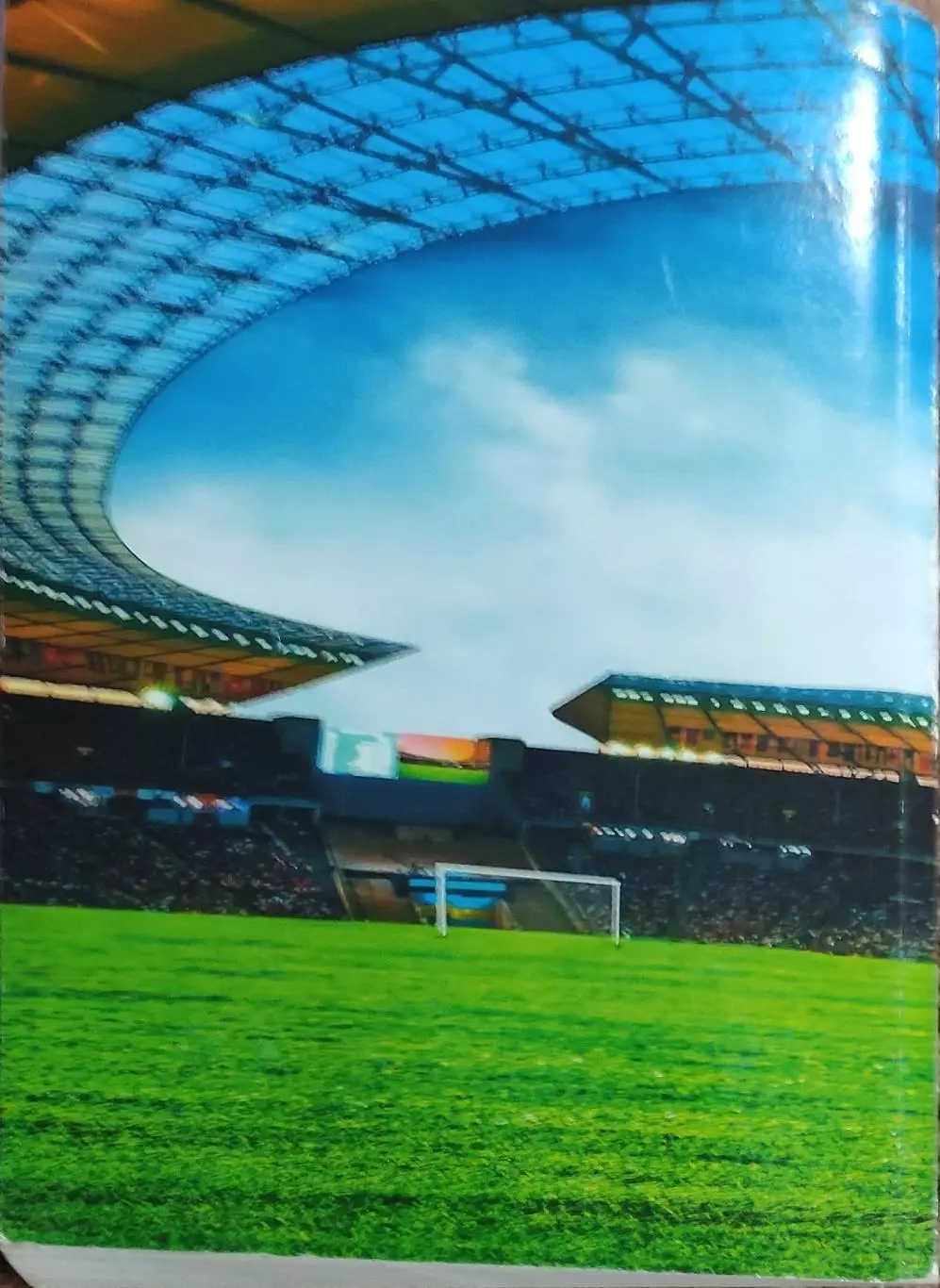 Физическое воспитание учеников в процессе занятий футболом.Киев.2016. 1