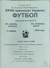 Кобра Харьков-ФК Победа Днепр.11.11.2018.Чемпионат Аматоров Украины .Вид 2.