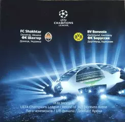 Шахтер Донецк Украина-Боруссия Дортмунд Германия.13.02.2013.Лига Чемпионов.